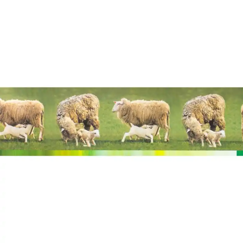 Expediere rapidă Bordura decorativa Zoo 555