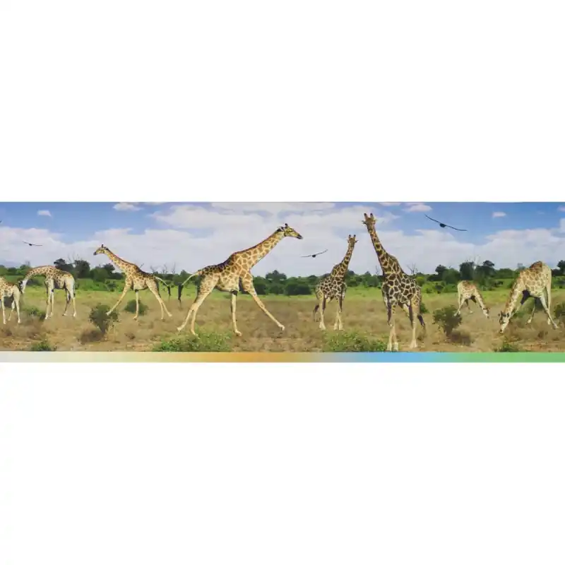 Bordura decorativa Zoo 547 Ofertă