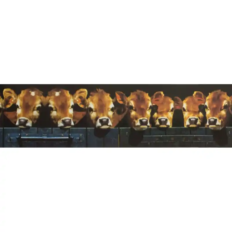 Bordura decorativa Zoo 548 Plată securizată
