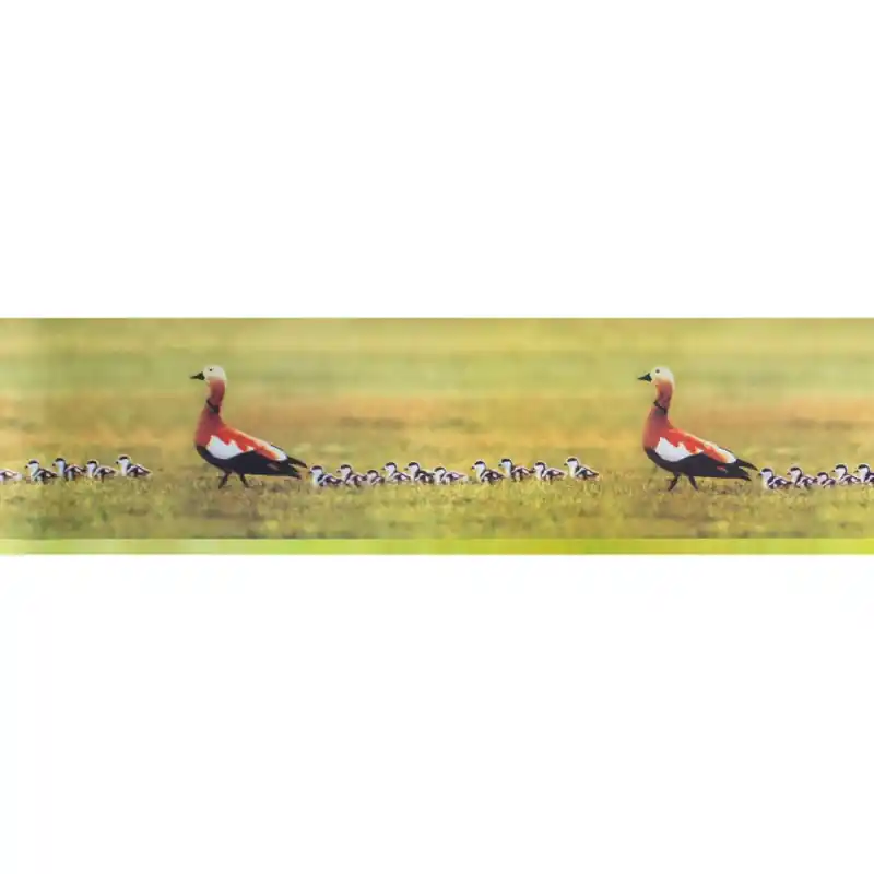 Comandă acum Bordura decorativa Zoo 550
