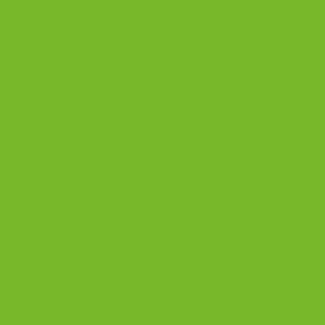 Autocolant Verde Lime RAL 6018 mat 45 cm Ofertă limitată