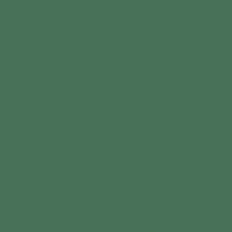 Autocolant Verde inchis RAL 6029 mat 45 cm Discount