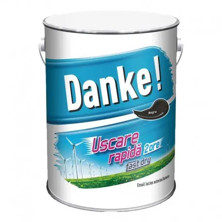 Livrare expres Vopsea lucioasa Danke Exterior Negru 4L