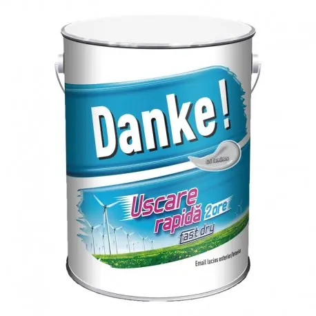 Doar azi Vopsea lucioasa Danke Exterior Gri luminos 4L