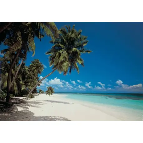 Noutate Fototapet Plaja Maldive