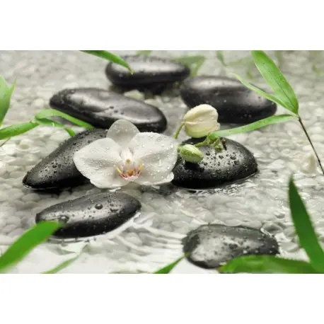 Cumpărături sigure Fototapet floral Puritatea orhideei albe