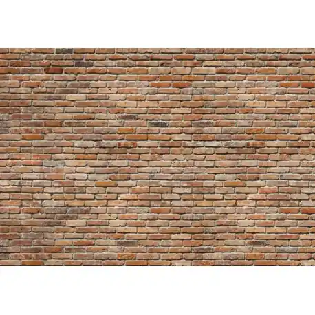 Reduceri Fototapet Perete de caramida