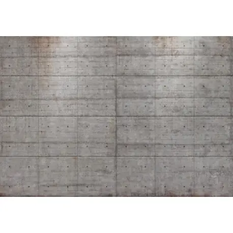 Fototapet Zid de beton Reducere specială