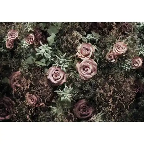 Fototapet Velvet Roses Preț mic