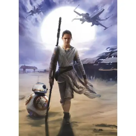 Ofertă limitată Fototapet Star Wars Rey