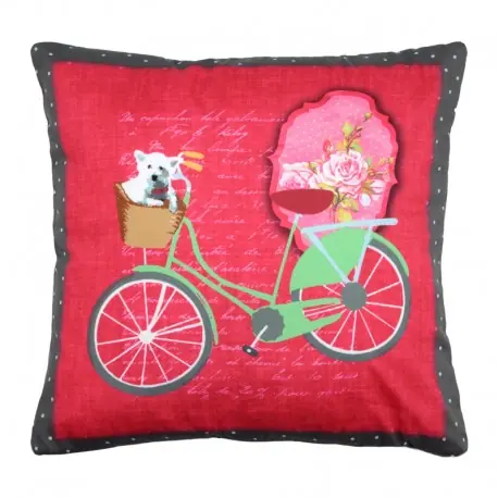 Preț promoțional Perna rosie cu bicicleta verde