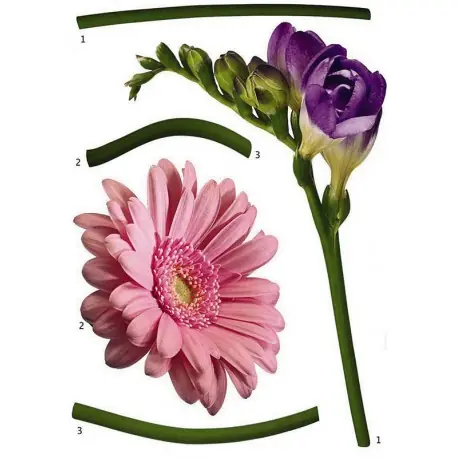 Stickere perete Frezie si Gerbera Lichidare de stoc