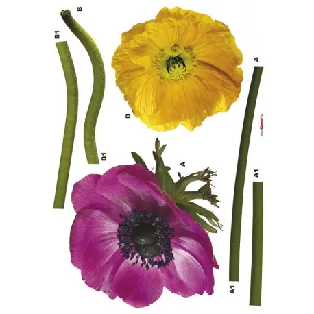 Ofertă specială Stickere de perete Anemone