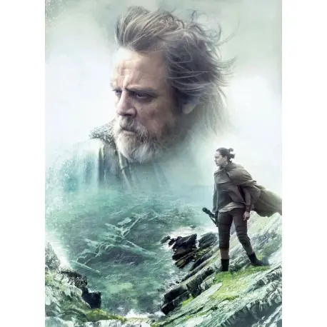 Ofertă specială Fototapet Last Jedi