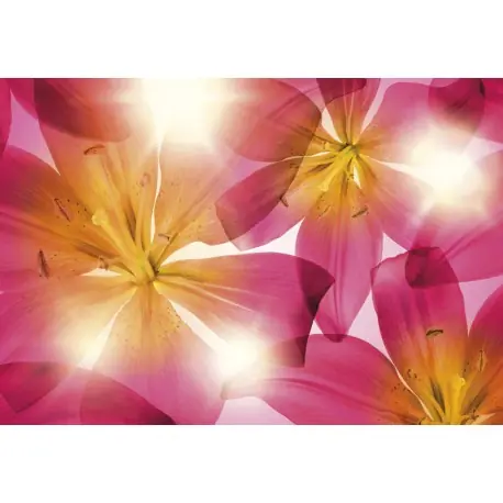 Fototapet floral Crini roz Cumpără online