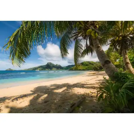 Retur gratuit Fototapet Plaja Seychelles cu palmieri