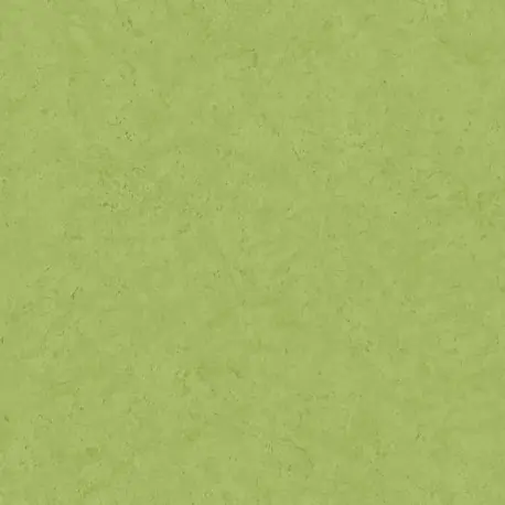Livrare expres Tapet Beton verde