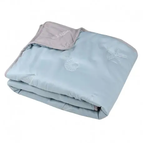 Preț redus Patura bleu cu doua fete