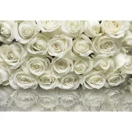 Cel mai vândut Fototapet floral Trandafiri albi