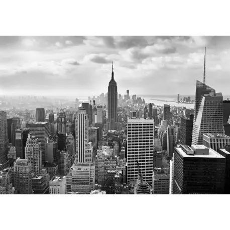 Cel mai bun preț Fototapet New York alb-negru