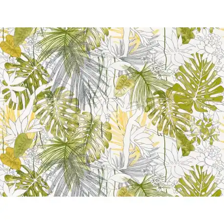 Fototapet Jungla exotica Monstera Ofertă