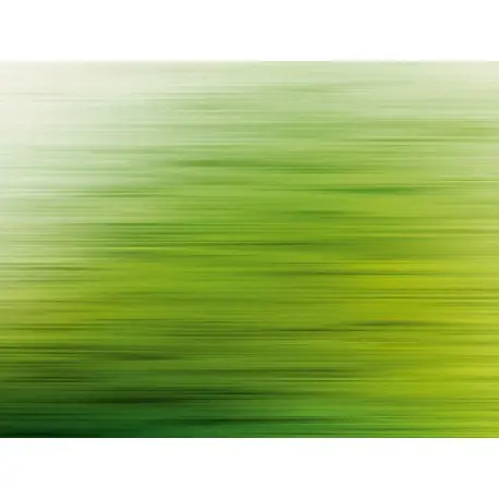 Ofertă exclusivă Fototapet verde - Reflexia padurii