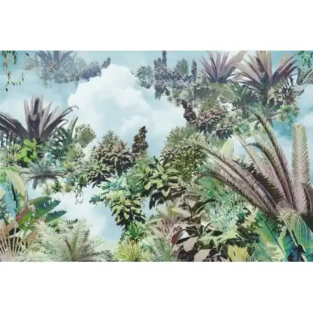 Fototapet design Padure tropicala Promoție
