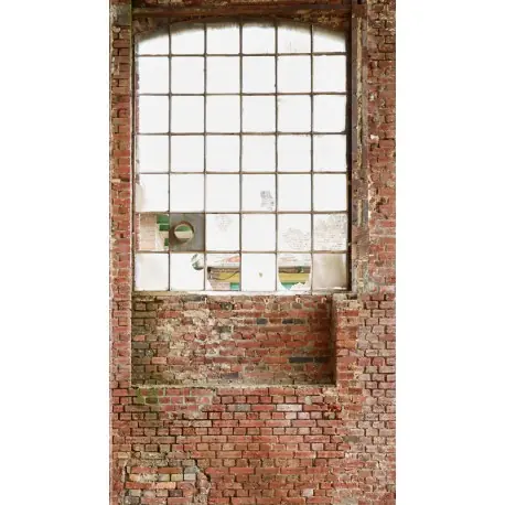 Calitate înaltă Fototapet Fereastra stil industrial