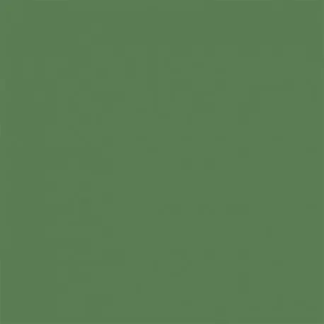 Ofertă de sezon Autocolant Verde Avocado mat 45 cm