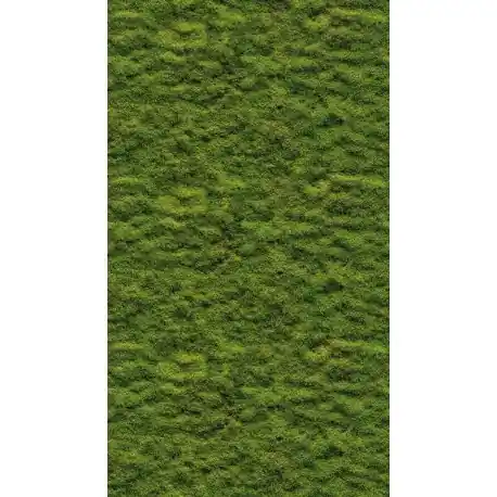 Vezi acum Fototapet Licheni decorativi