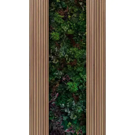Mai ieftin Fototapet riflaj Plante exotice