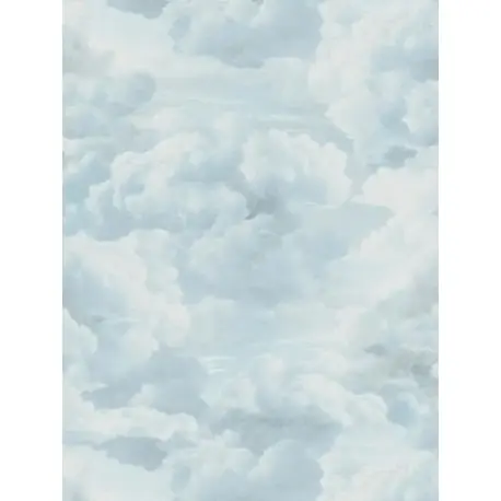 Reduceri Tapet cu nori bleu
