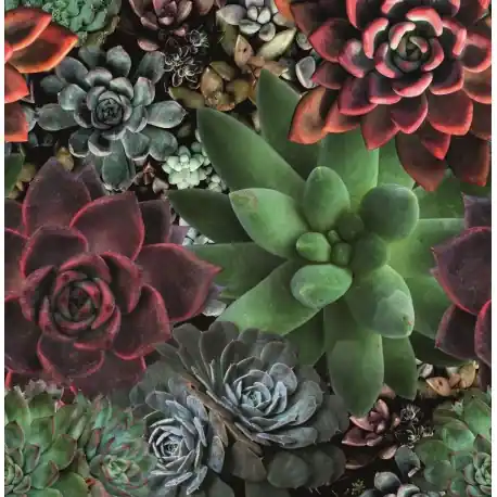 Reduceri Fototapet floral multicolor Smart Art