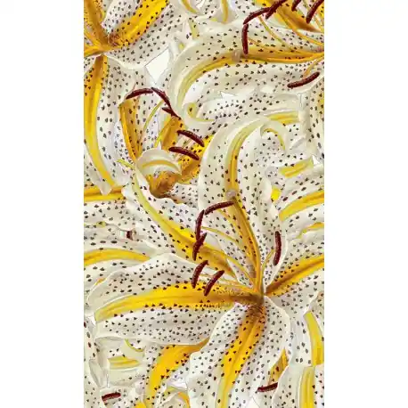Livrare expres Fototapet Crini Smart Art