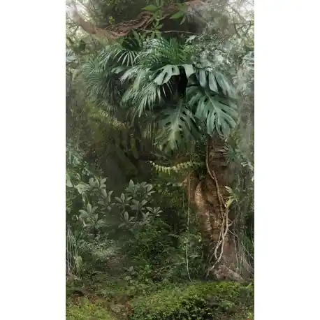 Promoție Fototapet Jungla Monstera Smart Art