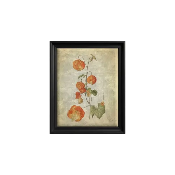 Tablou Lantern Bloom Premium