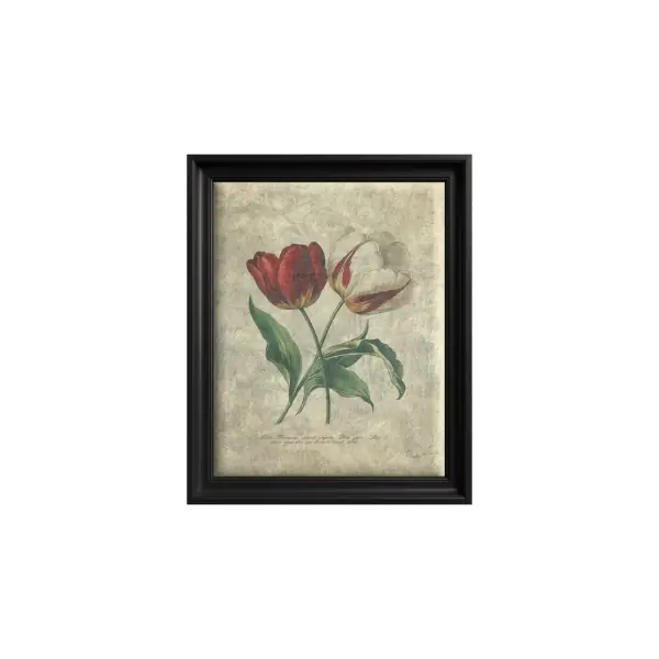 Tablou Tulip Harmony Cel mai bun preț