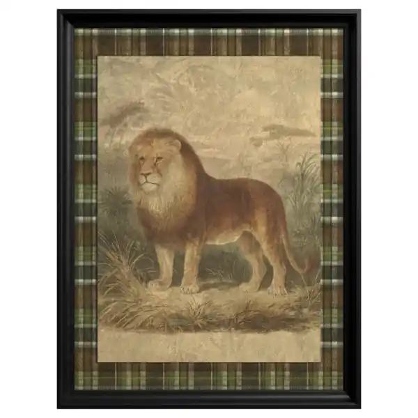 Disponibil imediat Tablou African Lion