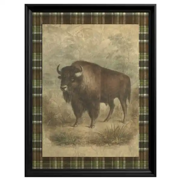 Cel mai bun preț Tablou American Bison