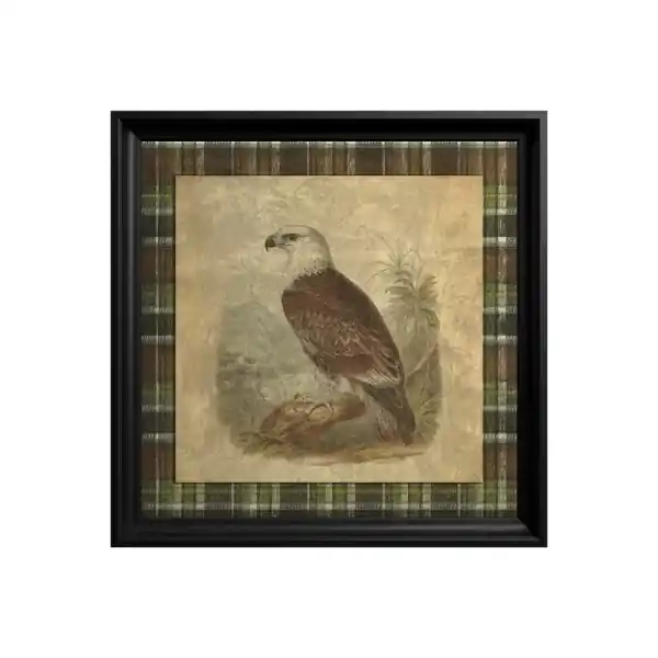 Retur ușor Tablou Bald Eagle