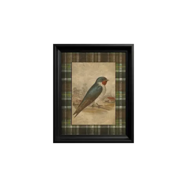 Tablou Barn Swallow Super ofertă