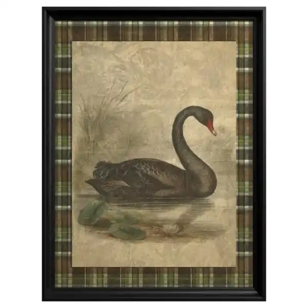 Chilipir Tablou Black Swan