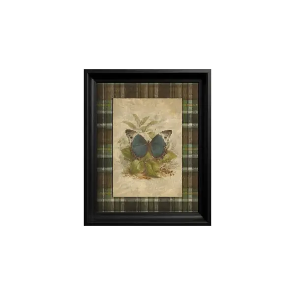 Ieftin Tablou Blue Morpho Butterfly