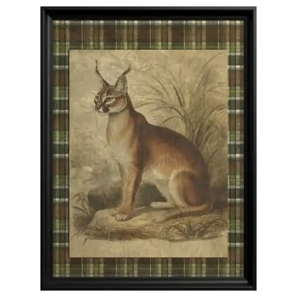 Nu rata Tablou Caracal