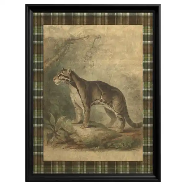 Tablou Clouded Leopard Calitate înaltă