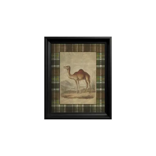 Preț redus Tablou Dromedary Camel