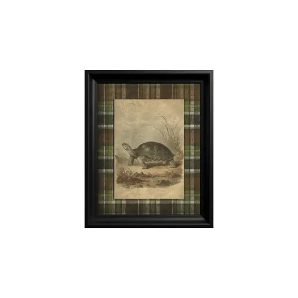 Tablou Galapagos giant tortoise Ofertă exclusivă