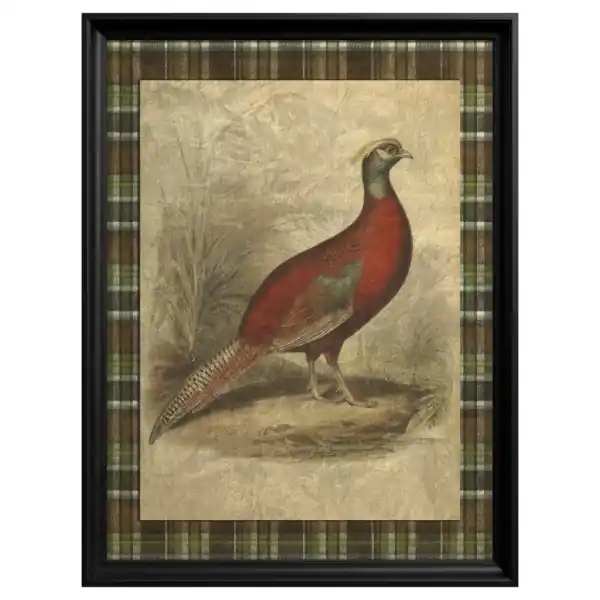 Ofertă specială Tablou Golden Pheasant