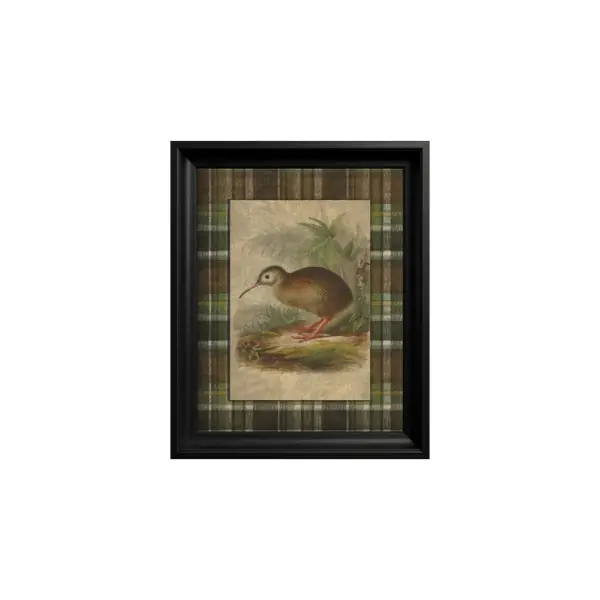 Bestseller Tablou Kiwi Bird