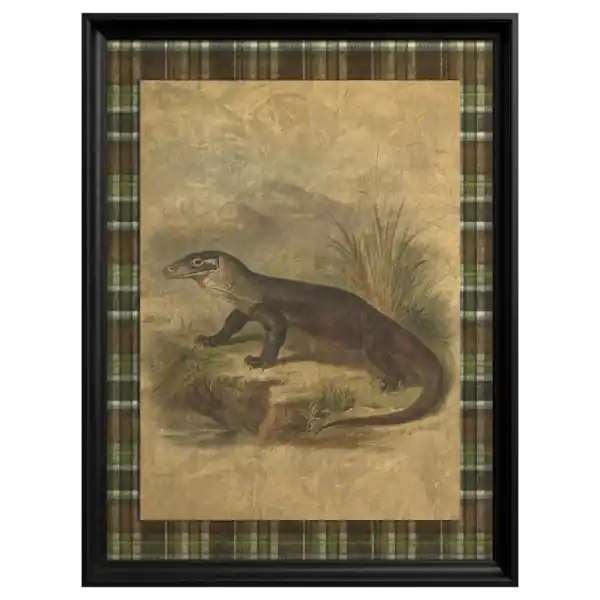 Lichidare de stoc Tablou Komodo Dragon